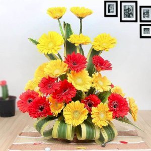 Vivid Gerberas