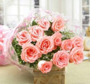 Light Pink Roses