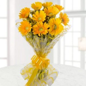 Blissful Yellow Gerberas
