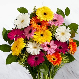 Mix Gerbera Bunch