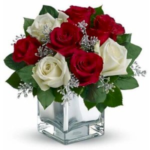 Graceful red and white