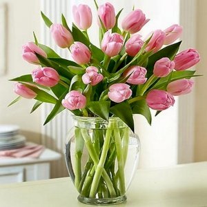 Pink Tulips
