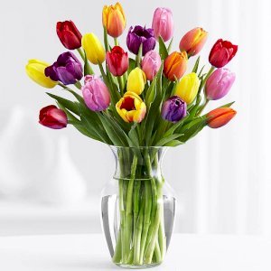 Mixed Tulips in a vase