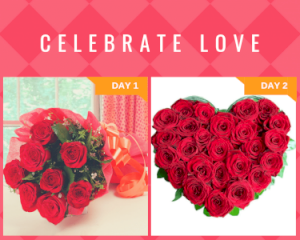 2 Days Love Serenades