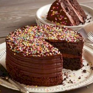 Premium Chocolate Cake